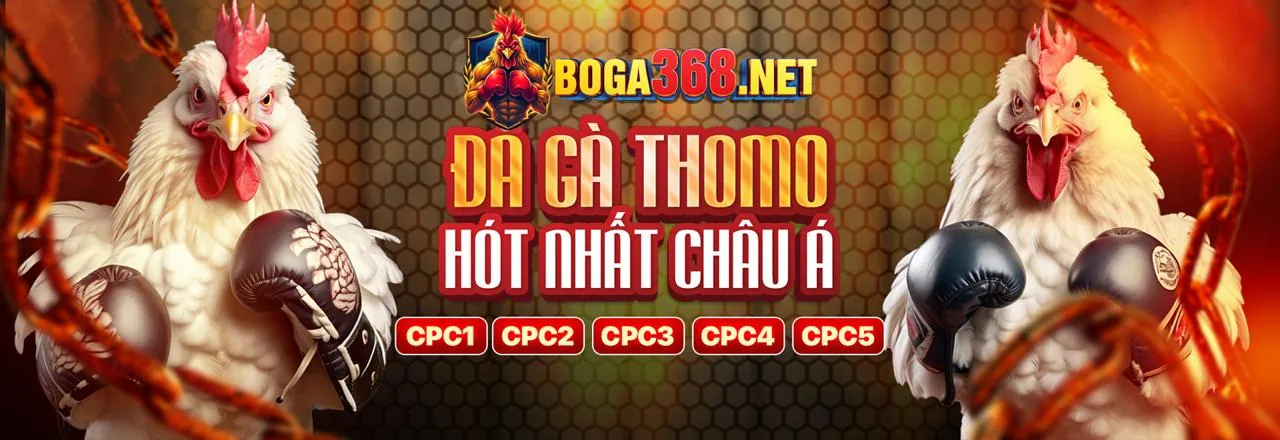 Đá gà trực tuyến NN888 Khuyến Mãi