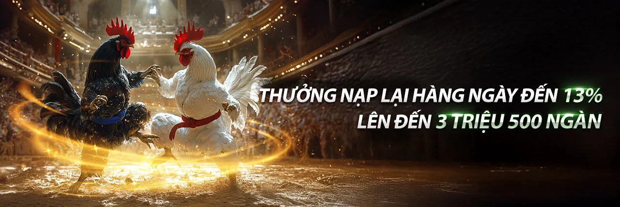 Đá Gà Trực Tuyến NN888 Khuyến Mãi 2026